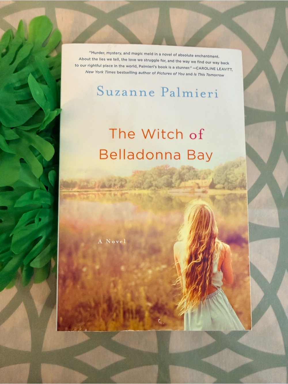 10/$25 • The Witch of Belladonna Bay: A Novel Paperback By Suzanne Palmieri